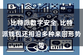 比特派数字安全 比特派钱包还相沿多种来回形势