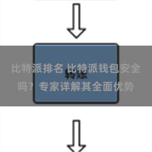 比特派排名 比特派钱包安全吗？专家详解其全面优势