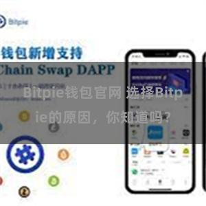 Bitpie钱包官网 选择Bitpie的原因，你知道吗？