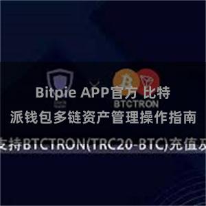 Bitpie APP官方 比特派钱包多链资产管理操作指南