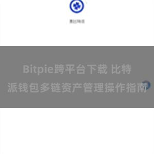 Bitpie跨平台下载 比特派钱包多链资产管理操作指南