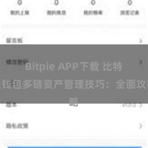 Bitpie APP下载 比特派钱包多链资产管理技巧：全面攻略