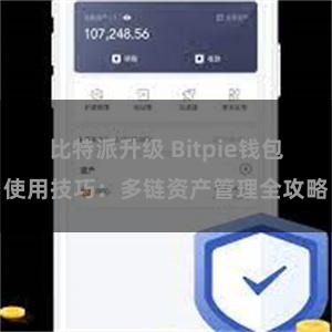 比特派升级 Bitpie钱包使用技巧：多链资产管理全攻略