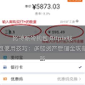 比特派冷钱包 Bitpie钱包使用技巧：多链资产管理全攻略