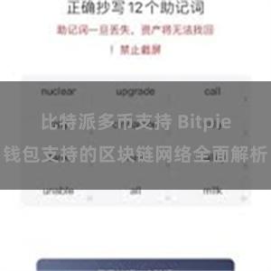 比特派多币支持 Bitpie钱包支持的区块链网络全面解析