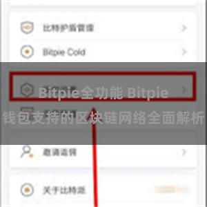 Bitpie全功能 Bitpie钱包支持的区块链网络全面解析