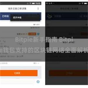 Bitpie新手指南 Bitpie钱包支持的区块链网络全面解析