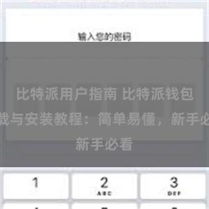 比特派用户指南 比特派钱包下载与安装教程：简单易懂，新手必看