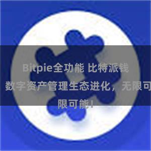 Bitpie全功能 比特派钱包：数字资产管理生态进化，无限可能！