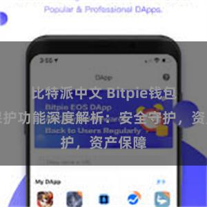 比特派中文 Bitpie钱包隐私保护功能深度解析：安全守护，资产保障