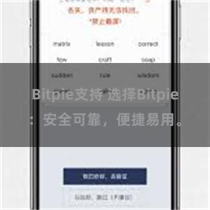 Bitpie支持 选择Bitpie：安全可靠，便捷易用。