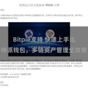 Bitpie支持 快速上手比特派钱包，多链资产管理全攻略