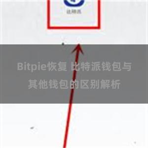 Bitpie恢复 比特派钱包与其他钱包的区别解析