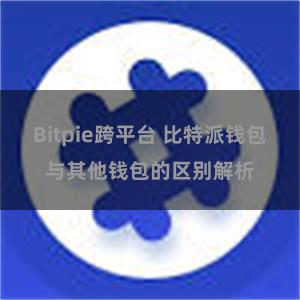 Bitpie跨平台 比特派钱包与其他钱包的区别解析