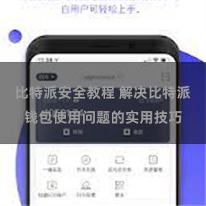 比特派安全教程 解决比特派钱包使用问题的实用技巧