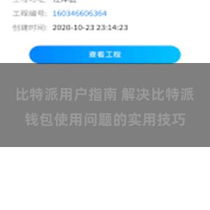 比特派用户指南 解决比特派钱包使用问题的实用技巧