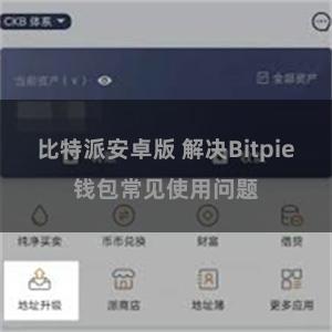 比特派安卓版 解决Bitpie钱包常见使用问题