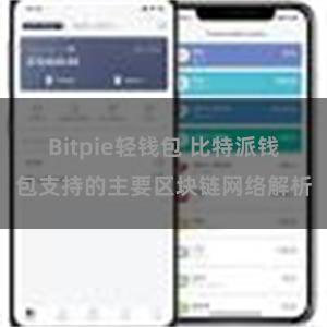 Bitpie轻钱包 比特派钱包支持的主要区块链网络解析