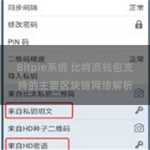 Bitpie系统 比特派钱包支持的主要区块链网络解析