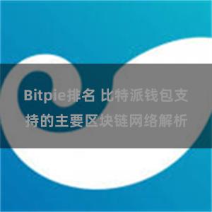 Bitpie排名 比特派钱包支持的主要区块链网络解析