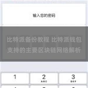 比特派备份教程 比特派钱包支持的主要区块链网络解析