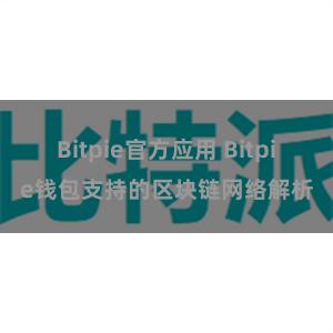 Bitpie官方应用 Bitpie钱包支持的区块链网络解析