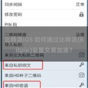 比特派iOS 如何通过比特派(Bitpie)设置交易加速？