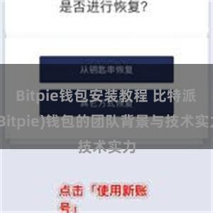 Bitpie钱包安装教程 比特派(Bitpie)钱包的团队背景与技术实力