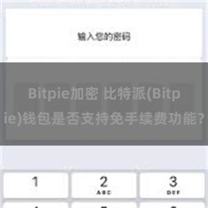 Bitpie加密 比特派(Bitpie)钱包是否支持免手续费功能？