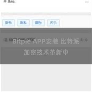 Bitpie APP安装 比特派加密技术革新中