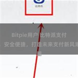 Bitpie用户 比特派支付，安全便捷，打造未来支付新风潮