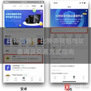比特派钱包 比特派钱包地址查询及交易方式指南