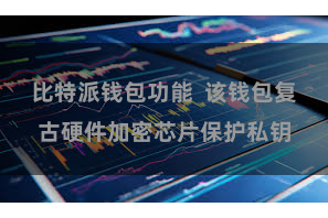 比特派钱包功能  该钱包复古硬件加密芯片保护私钥