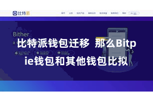 比特派钱包迁移  那么Bitpie钱包和其他钱包比拟