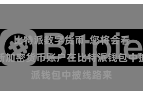 比特派数字货币 您将会看到您的新加密货币账户在比特派钱包中披线路来