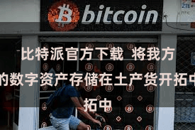 比特派官方下载 将我方的数字资产存储在土产货开拓中