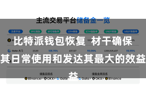 比特派钱包恢复  材干确保其日常使用和发达其最大的效益