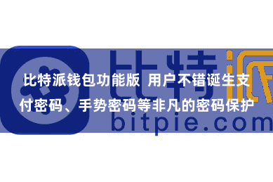 比特派钱包功能版  用户不错诞生支付密码、手势密码等非凡的密码保护
